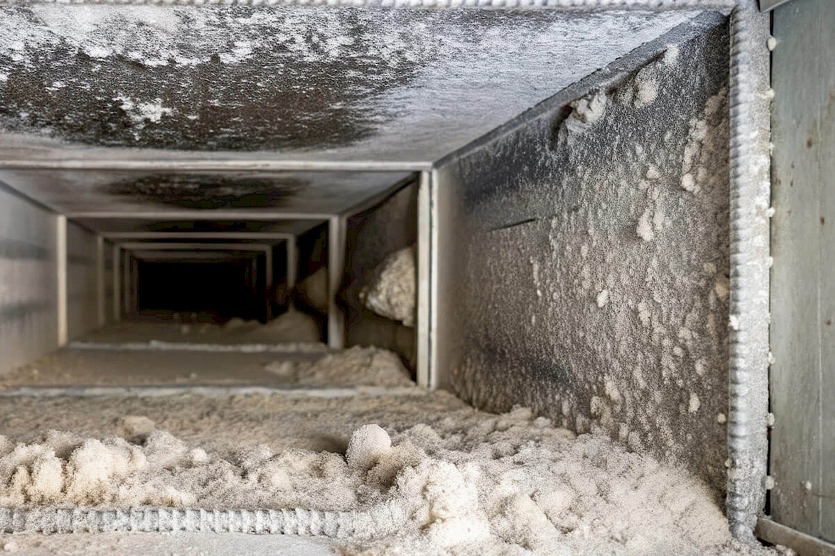 ab_blog_5-ways-to-improve-indoor-air-quality_intro