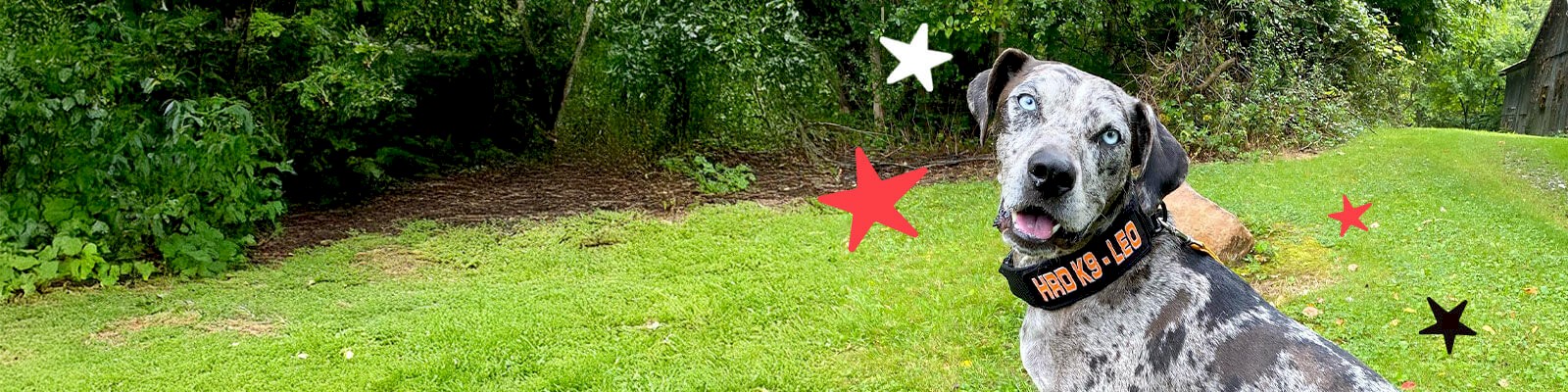 ab_2026_banner_barkbash-5
