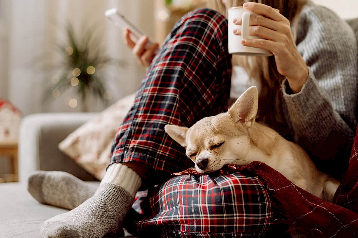 ab_blog_how-to-stay-cozy-safe-and-energy-smart