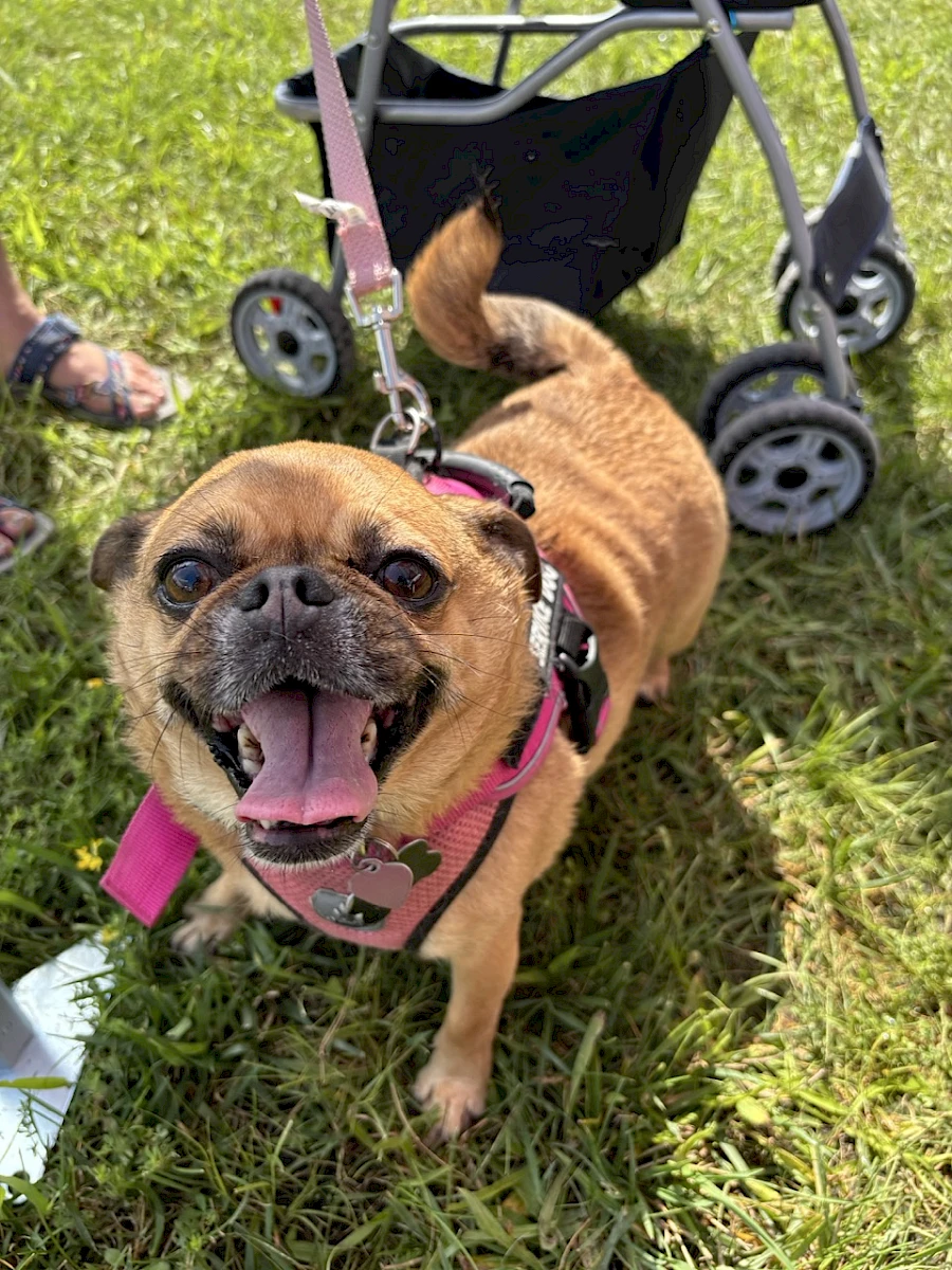 Happygirl