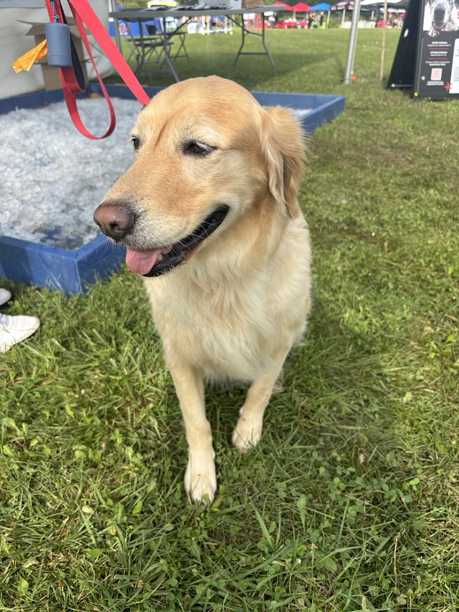 Lucy