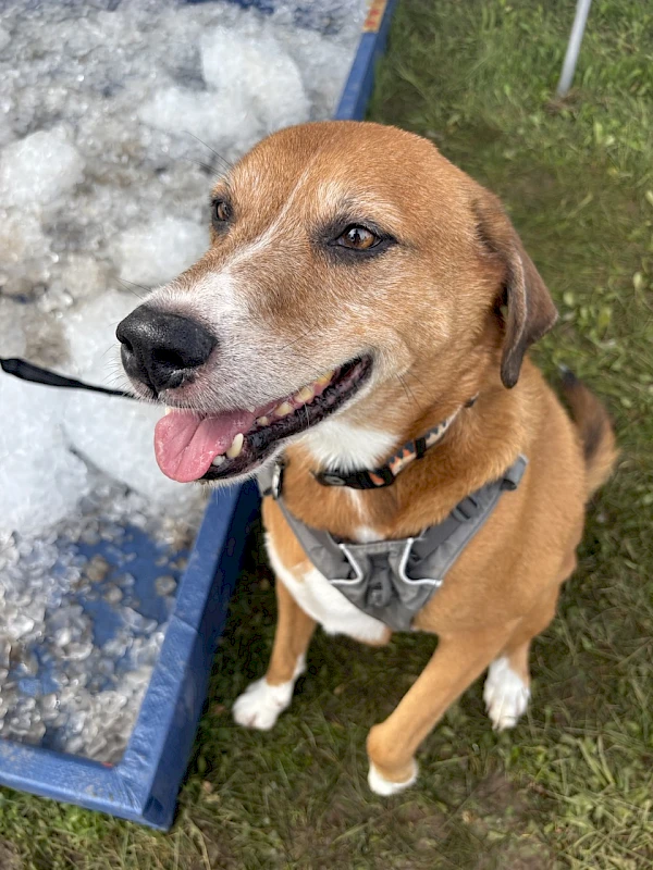 Vote Now