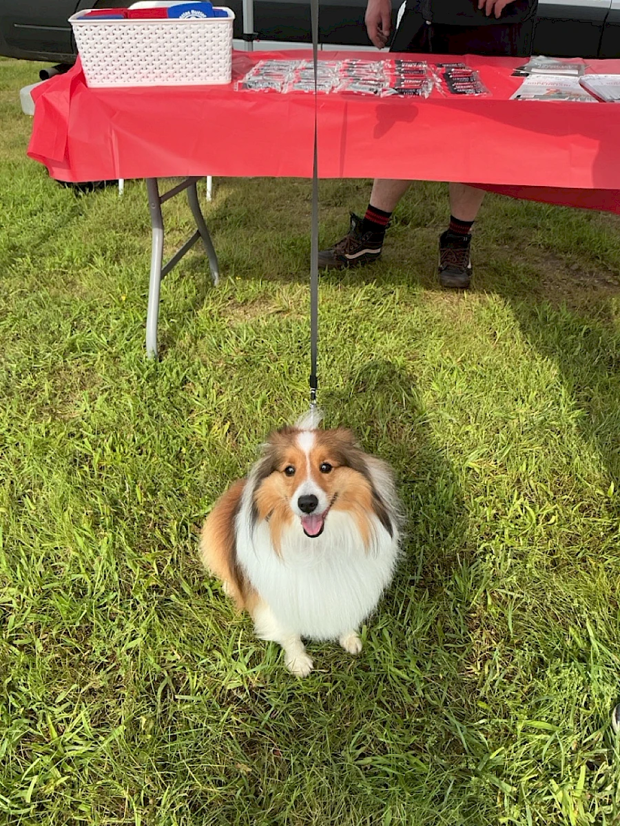 Teddi