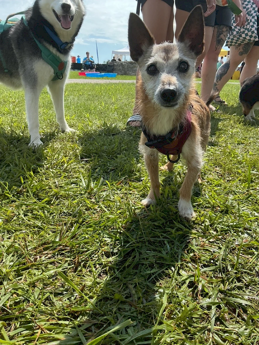 Tex (little old man)