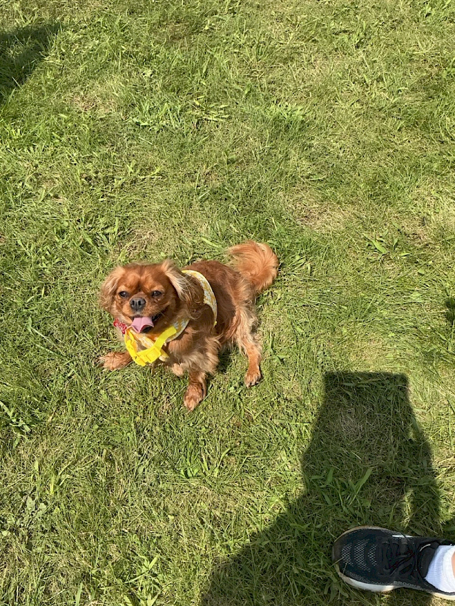 Zoey