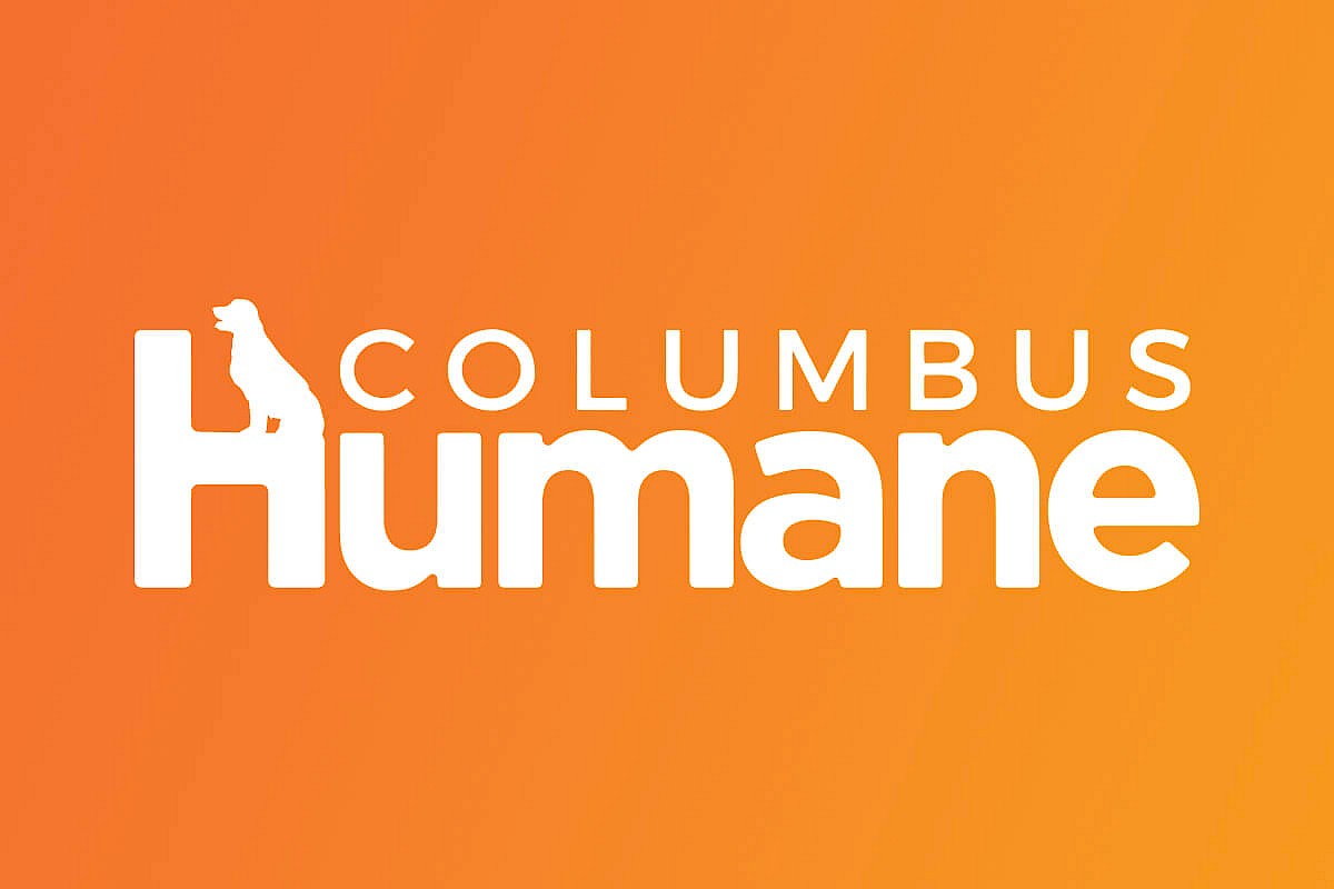 blog_columbus-human-intro